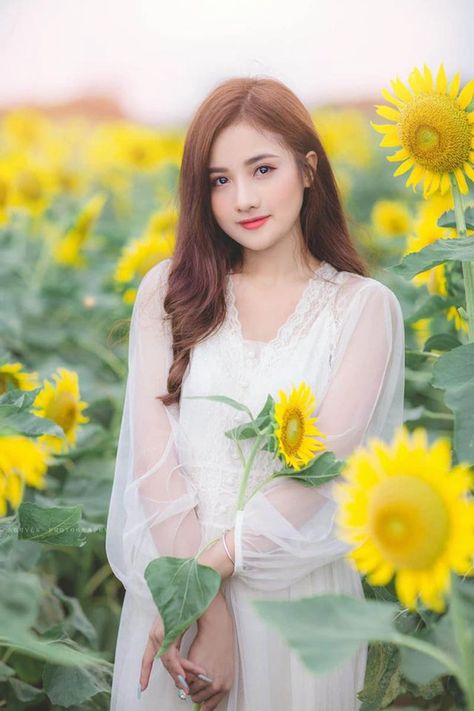 完美世界特别篇免费观看高清